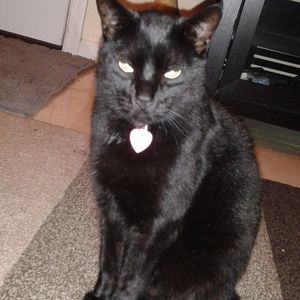 Meet your Posher, Victoria